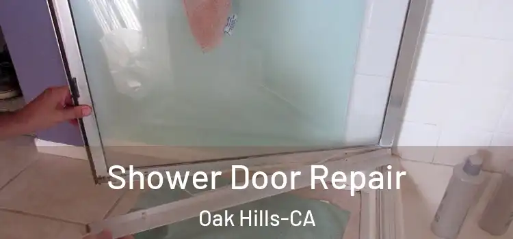  Shower Door Repair Oak Hills-CA
